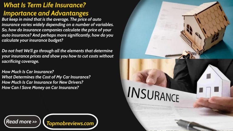 What Is Term Life Insurance? Importance and Advantages